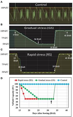 Induction of Acquired Tolerance Through Gradual Progression of Drought Is the Key for Maintenance of Spikelet Fertility and Yield in Rice Under Semi-irrigated Aerobic Conditions